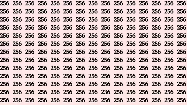 Optical Illusion Brain Challenge: Only 5% People Can Find the Number 236 Among 256 in 12 Seconds