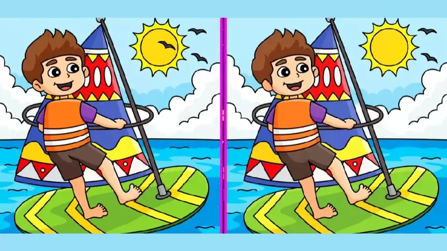 Brain Teaser Visual Test: Only a genius can find the 6 differences in less than 35 seconds!