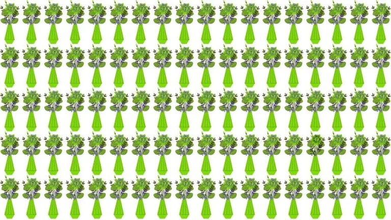 Optical Illusion Eye Test: Can you find the Odd Flower Vase in 20 Seconds?