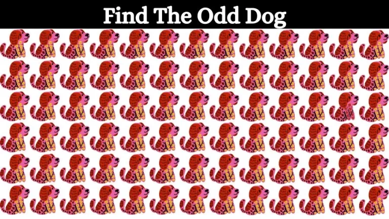 Optical Illusion Brain Challenge: If you have Eagle Eyes find the Odd Dog in 15 Seconds