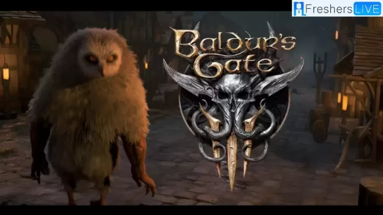 Baldur’s Gate 3: How to Save the Owlbear Cub?