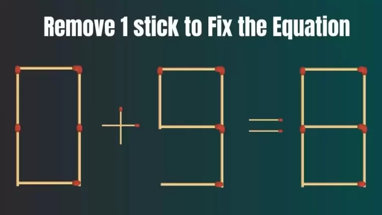 Brain Teaser: 0+9=8 Remove 1 Stick To Fix The Equation | Matchstick Puzzles