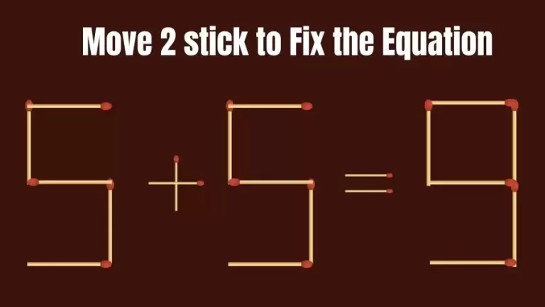 Brain Teaser: 5+5=9 Move 2 Sticks To Fix The Equation | Matchstick Puzzles