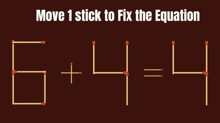 Brain Teaser: 6+4=4 Fix The Equation By Moving 1 Stick | Matchstick Puzzles