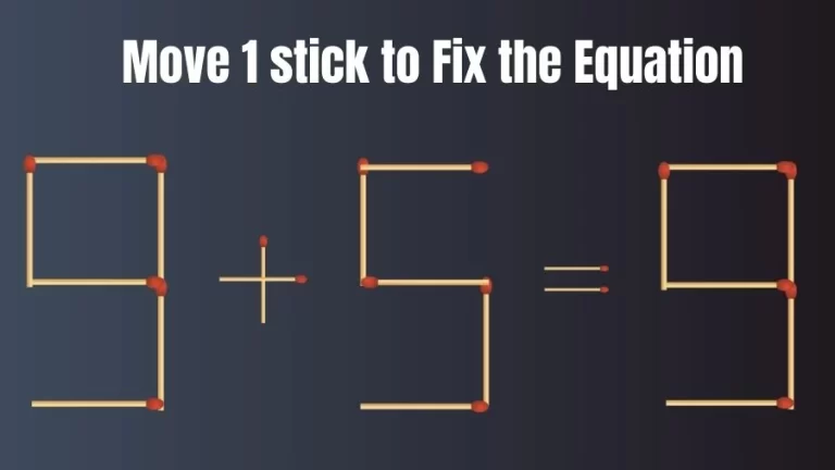 Brain Teaser: 9+5=9 Move Only 1 Matchstick To Fix The Equation | Matchstick Puzzle