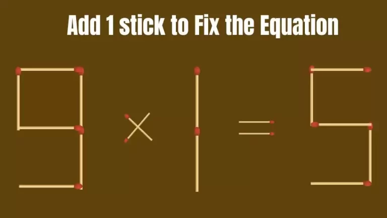 Brain Teaser: 9×1=5 Add 1 Stick To Fix The Equation | Matchstick Puzzles