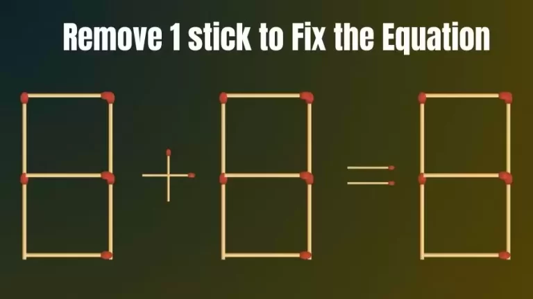 Brain Teaser IQ Challenge: 8+8=8 Remove 1 Matchstick to Fix the Equation | Matchstick Puzzles