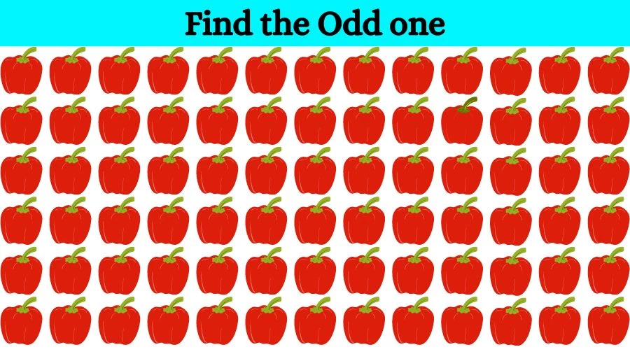 Brain Teaser to test your Eyes: Can you Spot the Odd One Out in this Picture in 10 Secs?