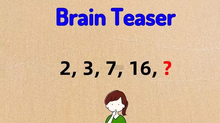 Can You Determine the Following Term in this Puzzle 2, 3, 7, 16, ?