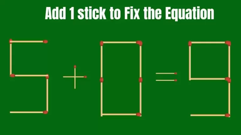 Matchstick Riddle: 5+0=9 Fix The Equation By Adding 1 Stick | Matchstick Puzzle
