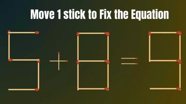 Matchstick Riddle: 5+8=9 Fix The Equation By Moving 1 Stick | Matchstick Puzzle