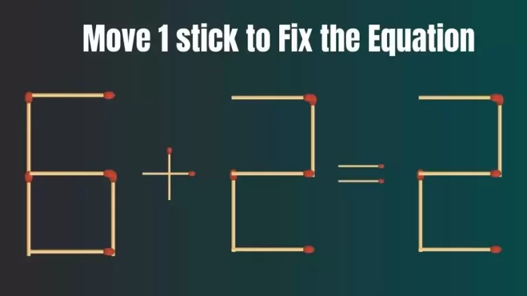 Matchstick Riddle: 6+2=2 Fix The Equation By Moving 1 Stick | Matchstick Puzzle