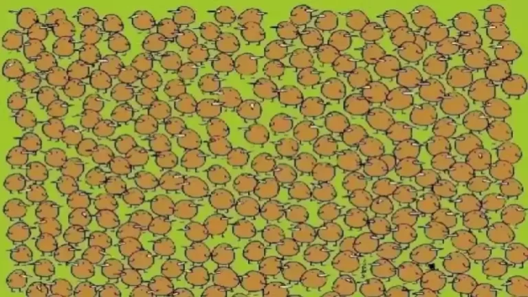 Observation Visual Test: Try To Find The 4 Hidden Kiwis In This Optical Illusion
