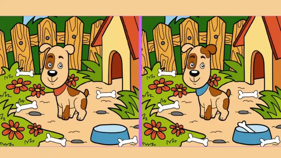 Only a genius Can find the 3 differences in this dog Image in Less than 15 Seconds