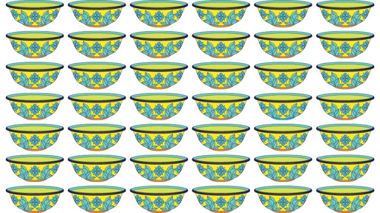 Optical Illusion Brain Challenge: Can you find the Odd Bowl in 12 Seconds?