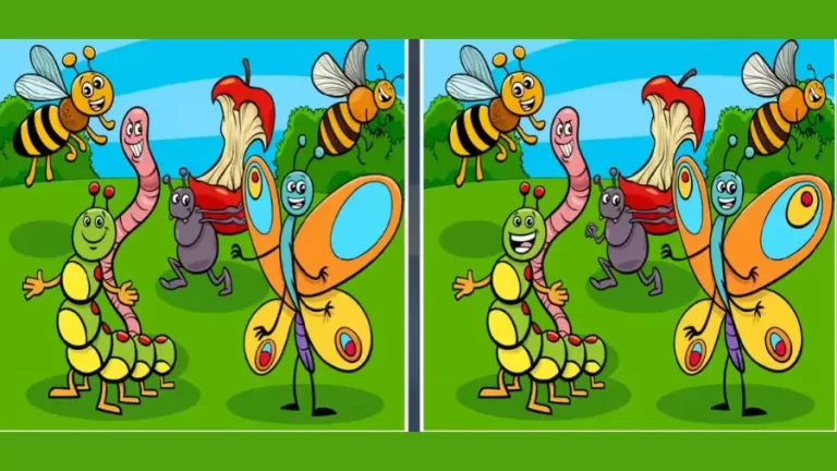Spot the difference Game: Only a genius can find the 3 differences in less than 20 seconds!