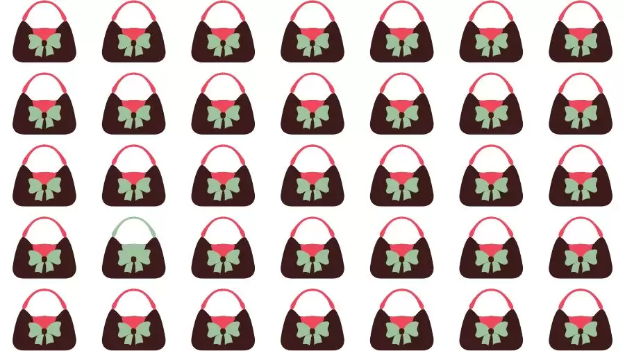 Optical Illusion Challenge: If you have Eagle Eyes find the Odd Handbag in 15 Seconds