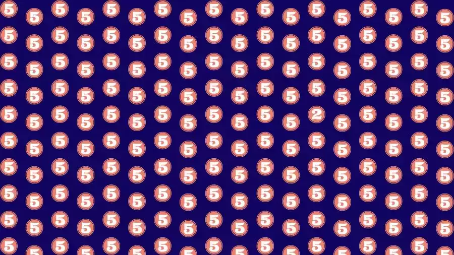 Optical Illusion Brain Test: If you have 50/50 Vision Find the number 2 among 5 in 12 Seconds?