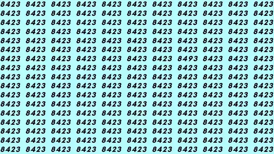 Observation Skill Test: If you have Hawk Eyes Find the number 8493 among 8423 in 10 Seconds?