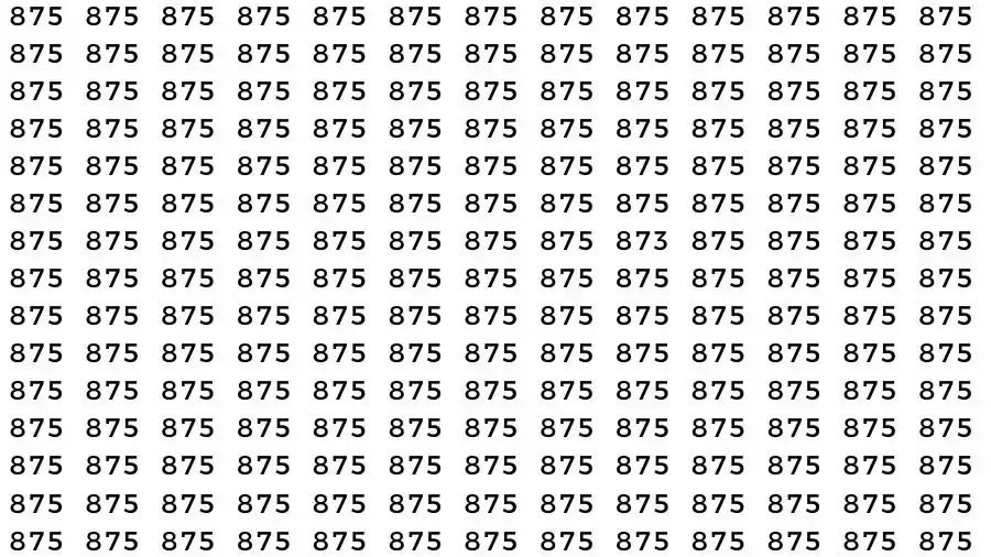 Observation Skill Test: If you have Eagle Eyes Find the number 873 among 875 in 10 Seconds?