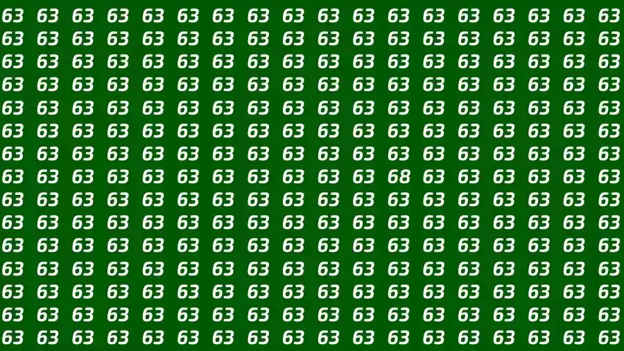 Optical Illusion Brain Challenge: If you have Hawk Eyes Find the number 68 among 63 in 15 Seconds?