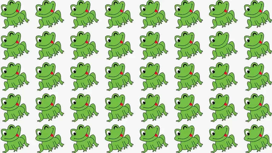 Observation Skill Test: Can you find the Odd Frog in 10 Seconds?