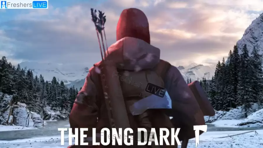 The Long Dark Update 2.24 Patch Notes, The Long Dark Gameplay