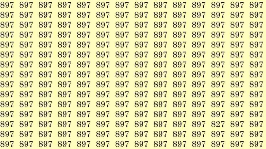 Optical Illusion: If you have Eagle Eyes find the number 827 among 897 in 8 Seconds?