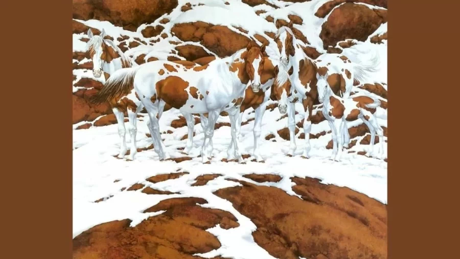 Observation Skill Test: If you have Eagle Eyes Find the Hidden 5 horses in the snow within 12 seconds?