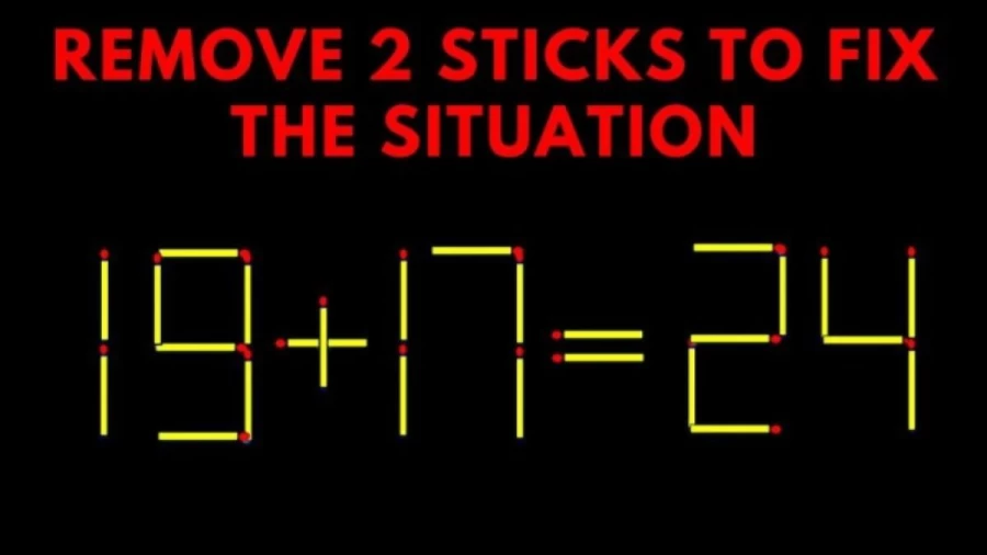 Brain Test: 19+17=20 Remove 2 Sticks To Fix The Situation