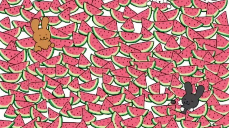 Can you Spot Hidden Five Seedless Watermelons within 10 Secs? Explanation and Solution to the Five Seedless Watermelons Optical Illusion