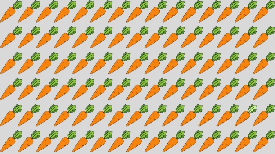 Observation Skill Test: Try to find the Odd Carrot in this Image within 10 Seconds