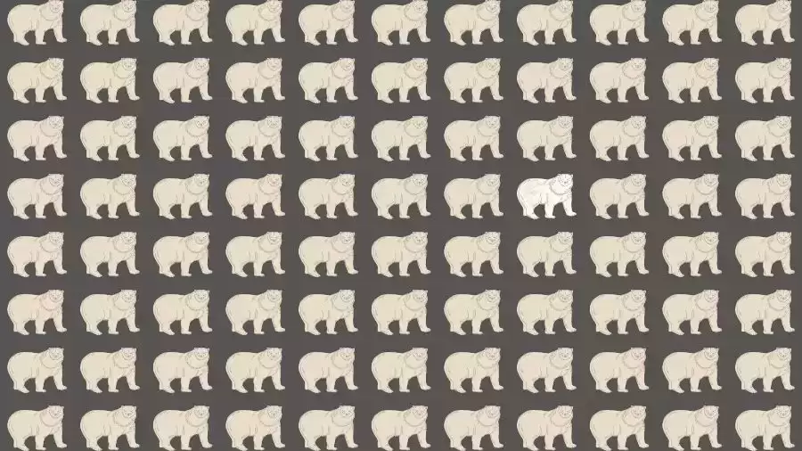 Observation Skills Test: Can you find the Odd Polar Bear in 10 Seconds?