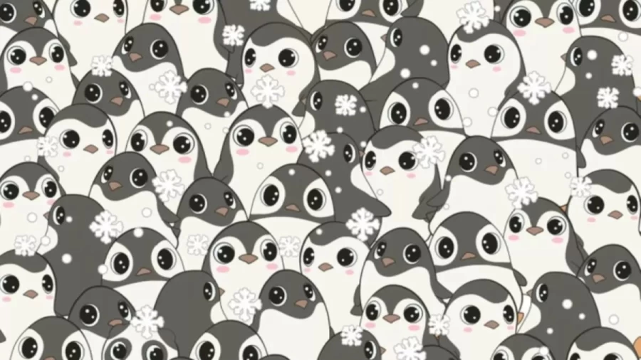 Optical Illusion Challenge: Only 10% can spot the Cute Panda among these Penguins in less than 15 Seconds. Can You?