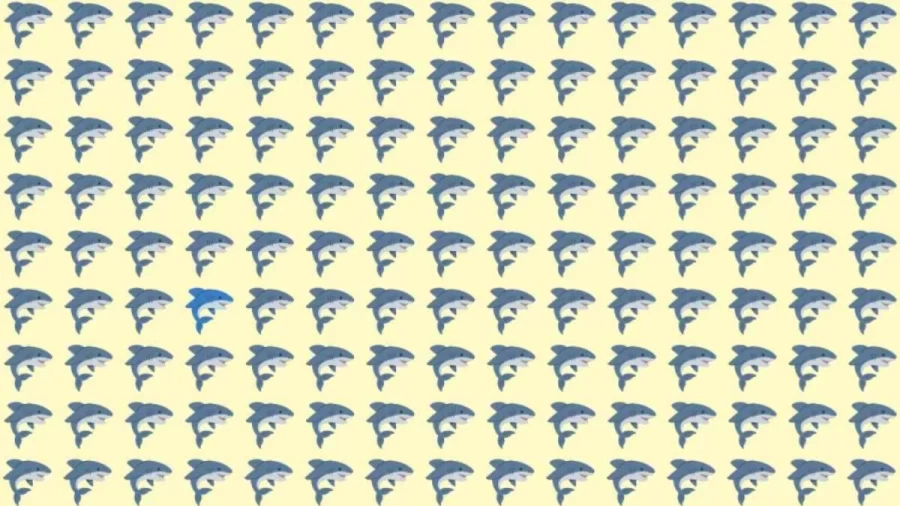 Optical Illusion: Try to find the Odd Shark in this Image