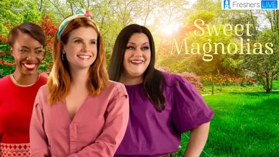 Will there be Another Season of Sweet Magnolias? Is There Season 4 Sweet Magnolias?