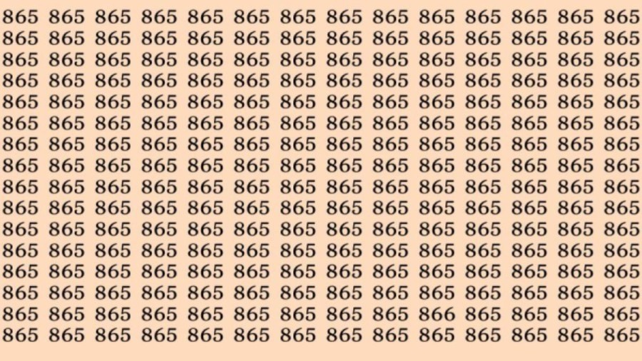 Observation Skills Test: Can you find the number 866 among 865 in 12 seconds?
