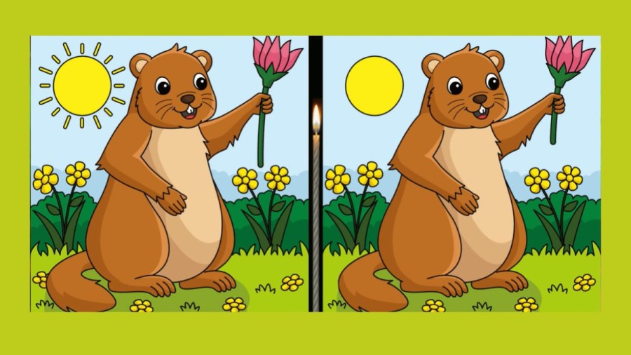 Spot the Difference Picture puzzle: Only smart people can spot 3 differences in this Image in 12 seconds