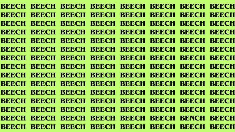 Brain Teaser: If you have Eagle Eyes Find the Word Bench among Beech in 13 Secs