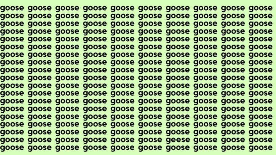 Optical Illusion Brain Test: If you have Sharp Eyes find the Word Geese among Goose in 20 Secs