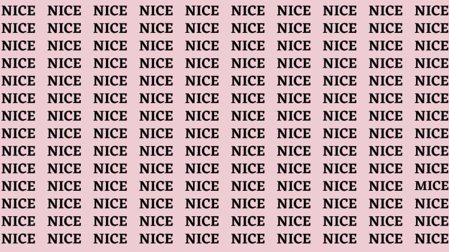 Brain Teaser: If you have Hawk Eyes Find the Word Mice among Nice in 15 Secs
