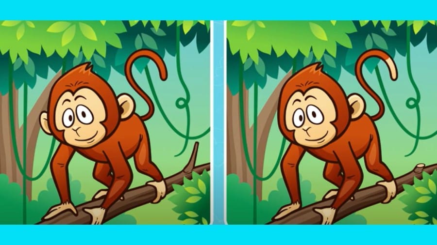 Brain Teaser Image Puzzle: Can you spot 5 differences between these two Images within 25 secs?