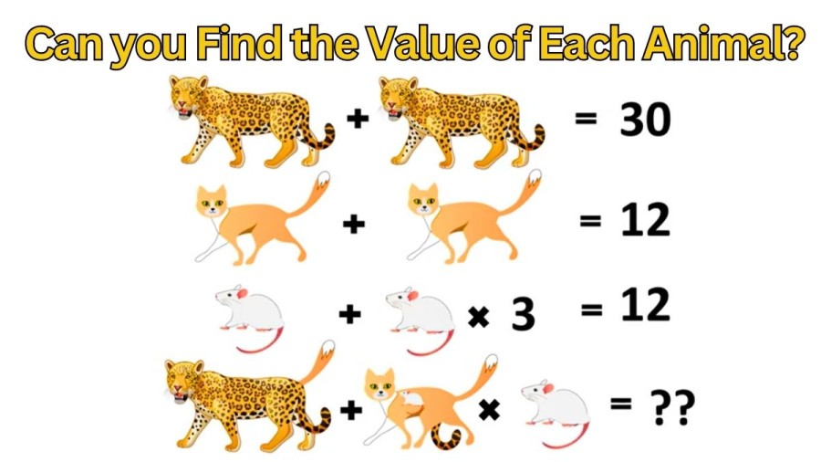 Brain Teaser: Can you Find the Value of Each Animal?