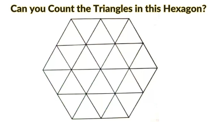 Brain Teaser Eye Test: Can you Count the Triangles in this Hexagon?