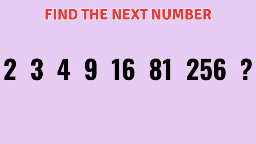 Brain Teaser - Find the Next Number 2, 3, 4, 9, 16, 81, 256?