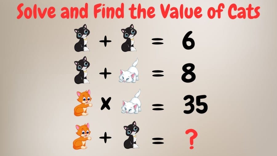 Brain Teaser: Solve and Find the Value of Cats