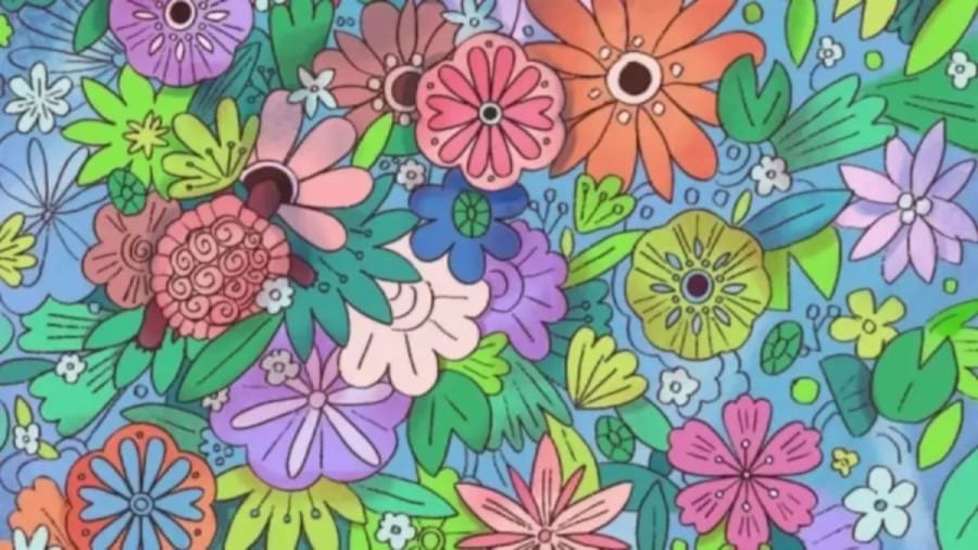 Can You Spot The Hidden Tortoise In This Floral Illusion Within 15 Seconds? Explanation And Solution To The Hidden Tortoise Optical Illusion