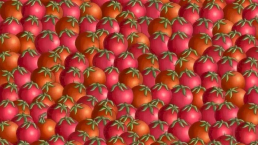 Can you find the Hidden Christmas Ball among these Tomatoes within 15 Seconds?