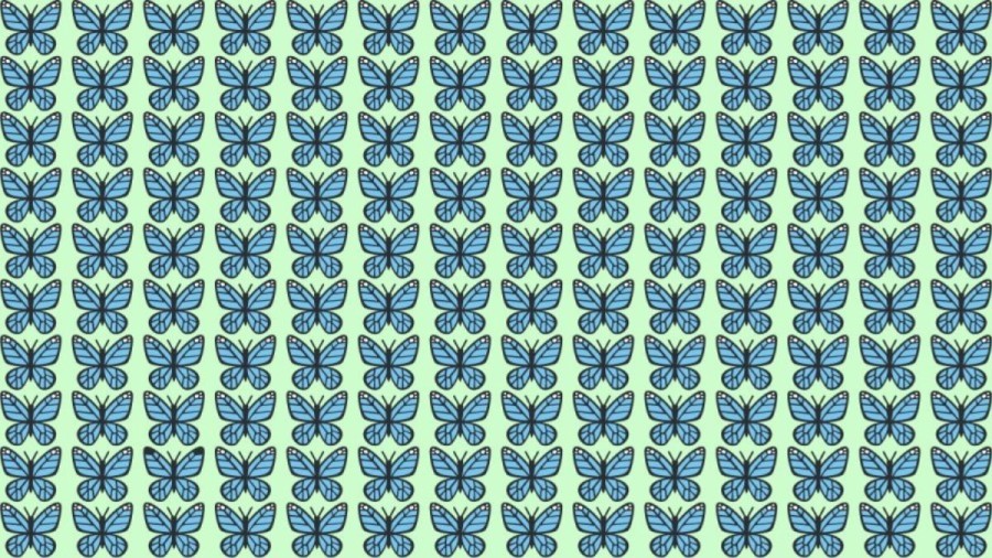 Observation Skills Test: Can you spot which Butterfly is different in 10 seconds?