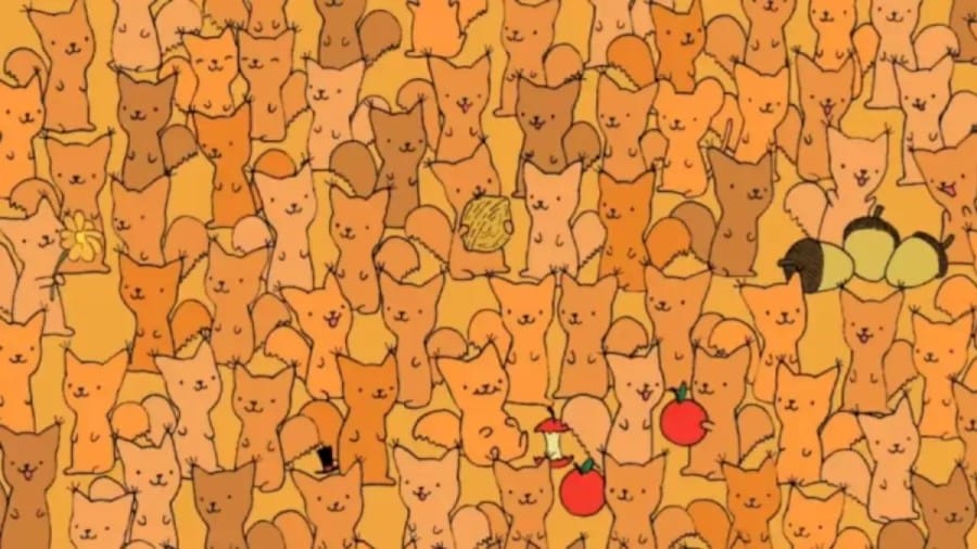 Optical Illusion Eye Test: Can You Spot The Hidden Mouse Among These Cats Within 22 Seconds?